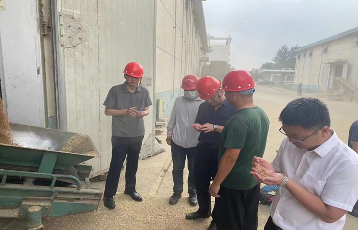 局黨組書記、局長蔣超督導省市級儲備糧收購、項目建設工作